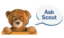 Scout