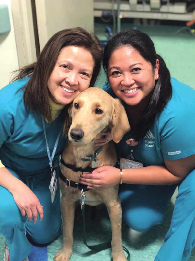 IntegratingAnimalAssistedTherapy2