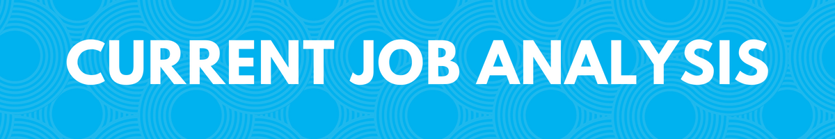 2022 - 2023 Job Analysis (1200 × 200 px) (1)