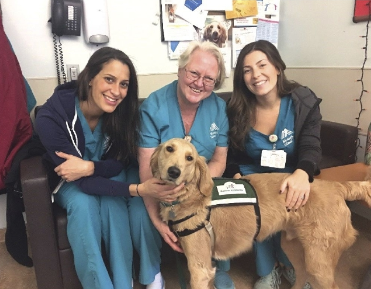 IntegratingAnimalAssistedTherapy