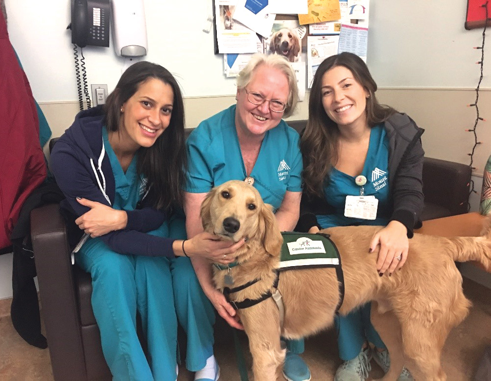 IntegratingAnimalAssistedTherapy